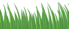 Small grass texture